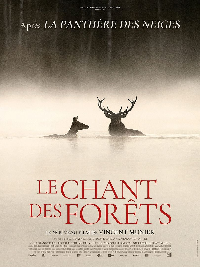 Le chant des forêts Le chant des forêts